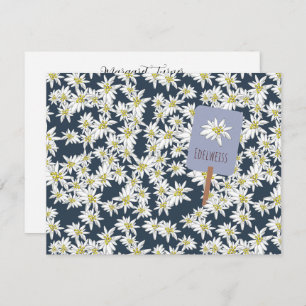 Edelweiss Alpine Wildflower Boho Hand-Illustrated Thank You Card