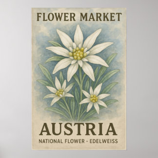 Edelweiss Art Print Austria National Flower Poster