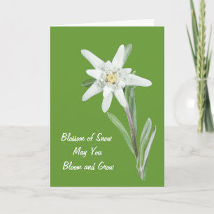 Edelweiss Card