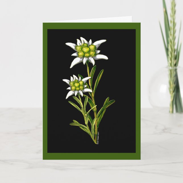 Edelweiss Custom Greeting Card (Front)