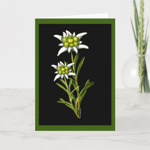 Edelweiss Custom Greeting Card