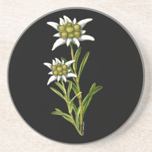 Edelweiss Floral Coaster