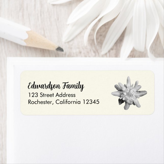 Edelweiss flower family name return address return address label (Insitu)