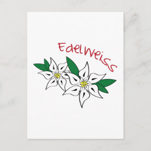 Edelweiss Postcard