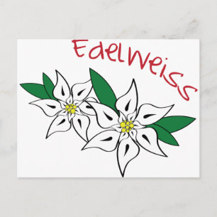 Edelweiss Postcard