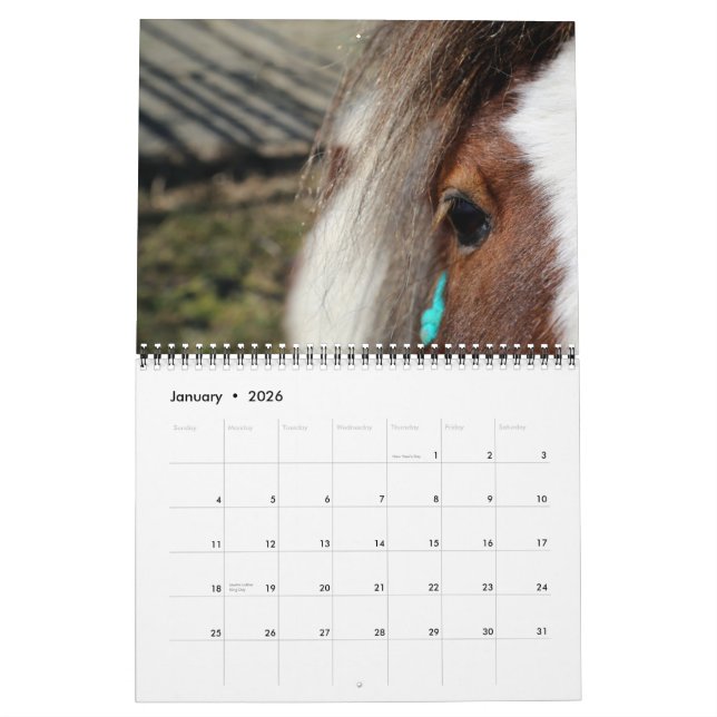 Edelweiss Ranch-Hordes of Horses! Calendar (Jan 2026)