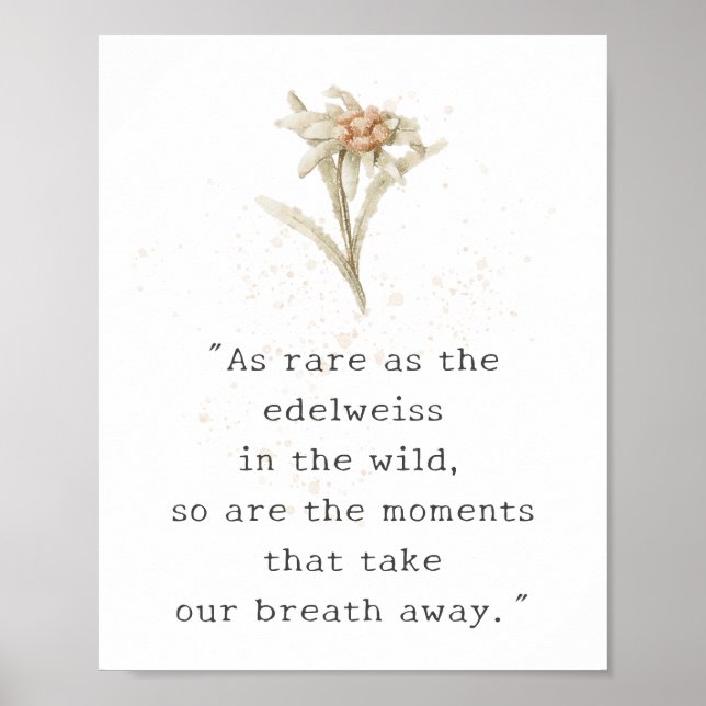 Edelweiss Wildflower Poster (Front)