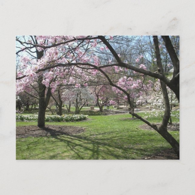 Eden Park Cincinnati, Ohio in Spring Postcard (Front)