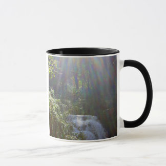 EDEN RAINBOWS MUG
