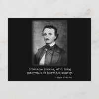 Edgar Allan Poe I Became Insane Famous Author