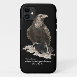 Edgar Allen Poe Insanity Quote Watercolor Raven iPhone 11 Case