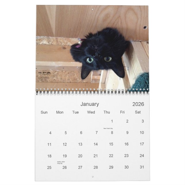 Edgar, Obi and Adara 2015 Cat Calendar (Jan 2026)