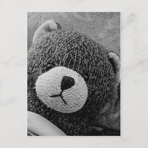 Edgar Shadows Sweet Teddy! Postcard