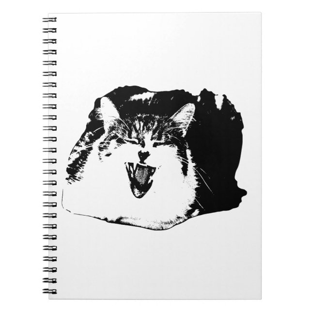 Edge Notes, Whisker Burst Notebook (Front)