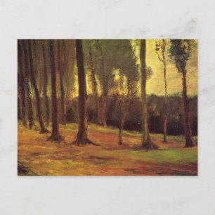 Edge of a Wood by Vincent van Gogh Postcard