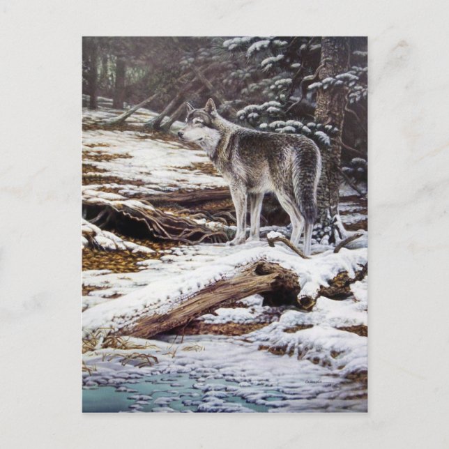 Edge of Night Postcards (Front)