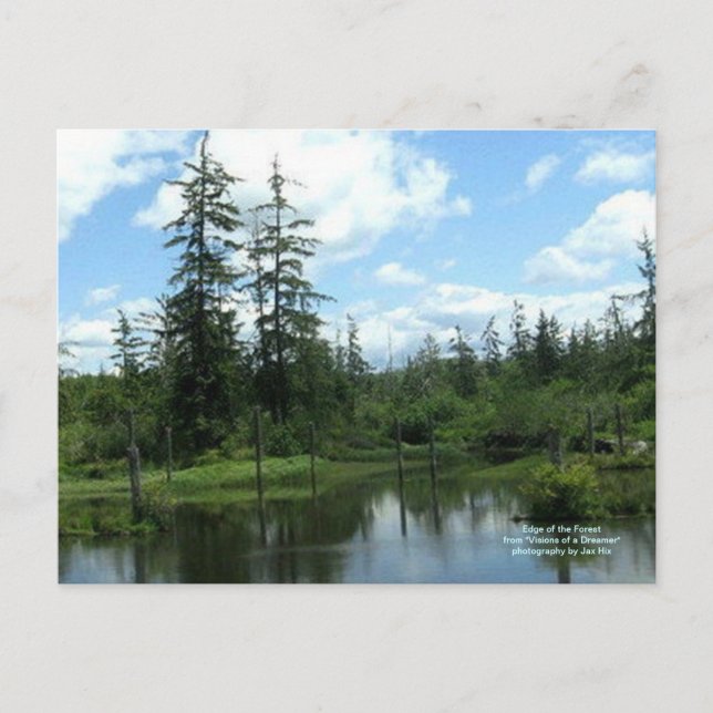 Edge of the Forest Postcard (Front)