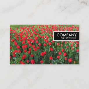 Edge Tag - Bed of Red Tulips 01