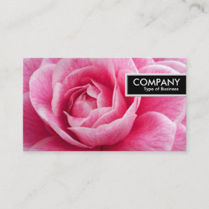 Edge Tag - Pink Camelia