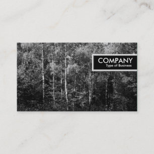 Edge Tag - Silver Birch Trees B&W