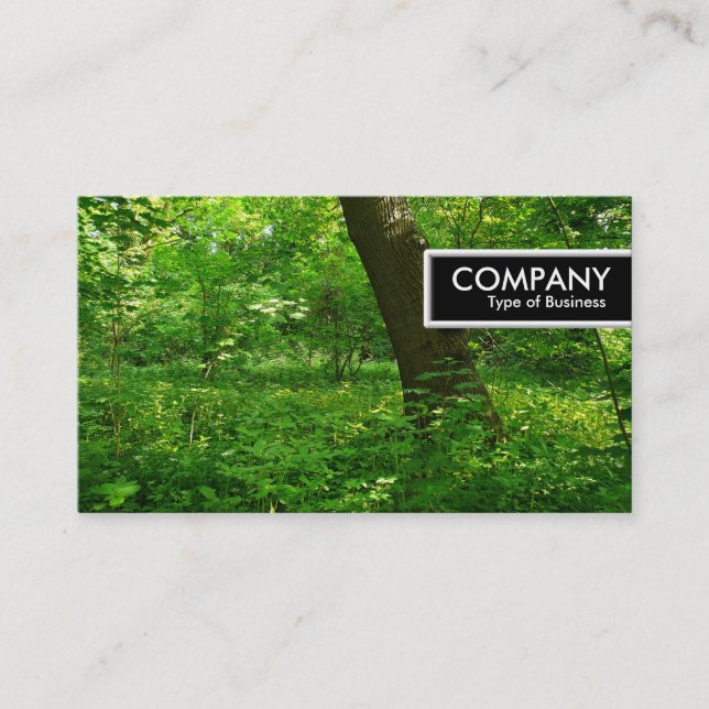Edge Tag - Spring in the Woods (Front)