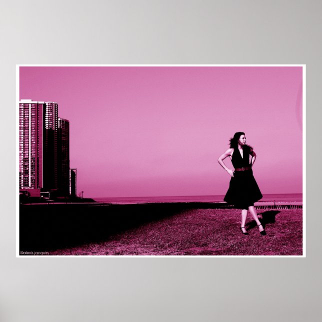 Edgewater beach, ill poster (Front)