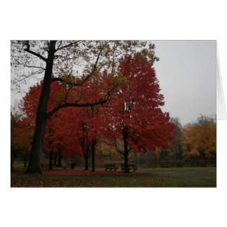 edgewood park in the fall