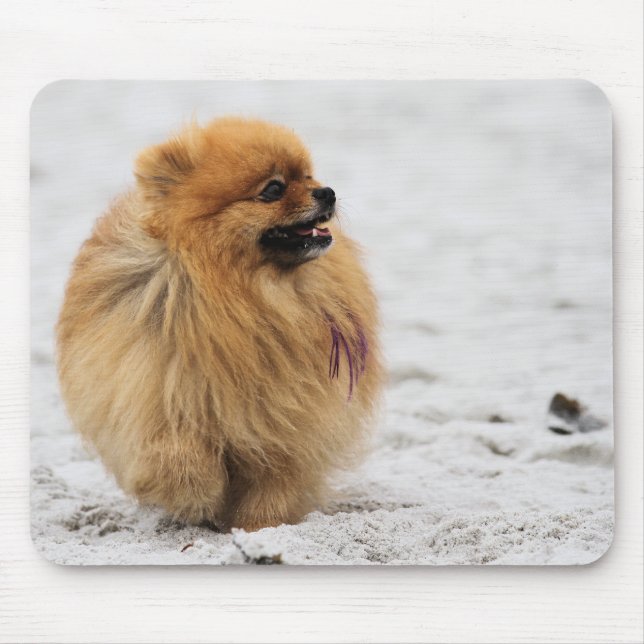 Edgrrrr #3 - Pomeranian Mouse Pad (Front)