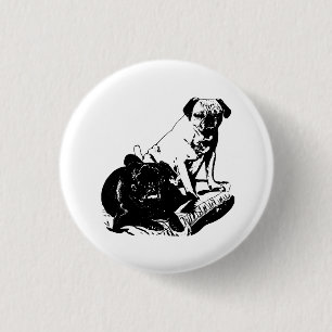 Edgy Duo, Lively Pin