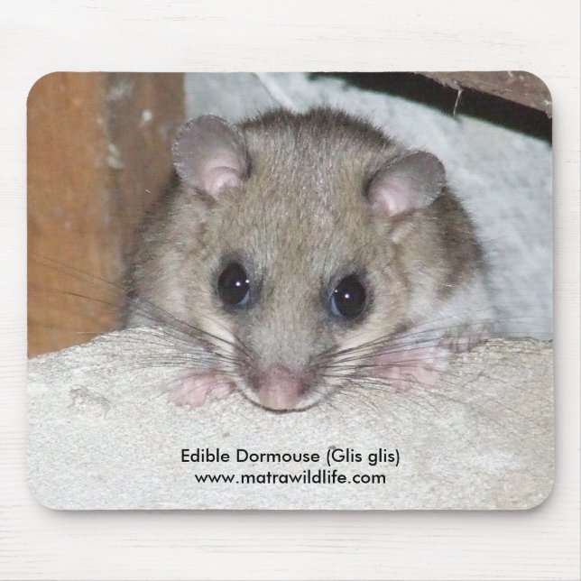 "Edible Dormouse" Mousepad (Front)