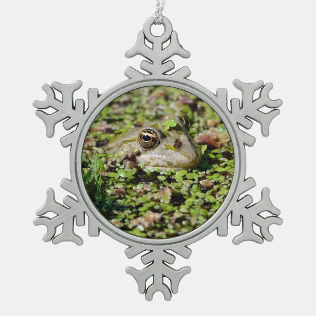 Edible frog among duckweed postcard snowflake pewter christmas ornament (Front)