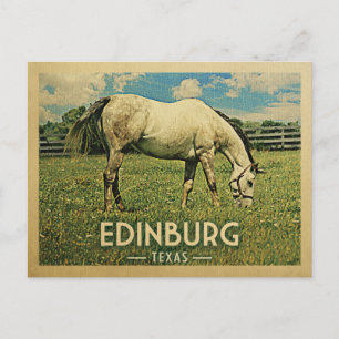 Edinburg Texas Horse Farm -Vintage Travel Postcard
