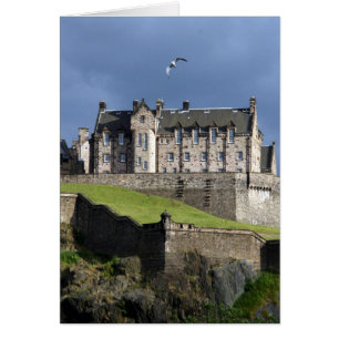 edinburgh castle bird