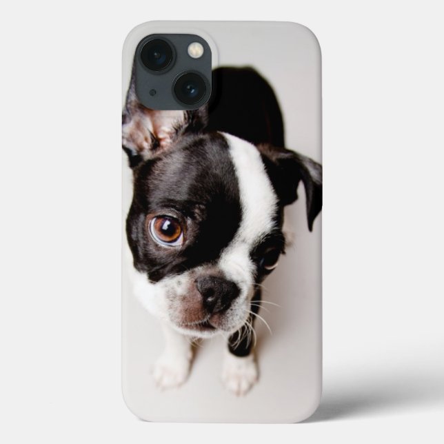 Edison Boston Terrier puppy. Case-Mate iPhone Case (Back)