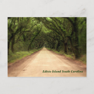 Edisto Island South Carolina - Customised Postcard
