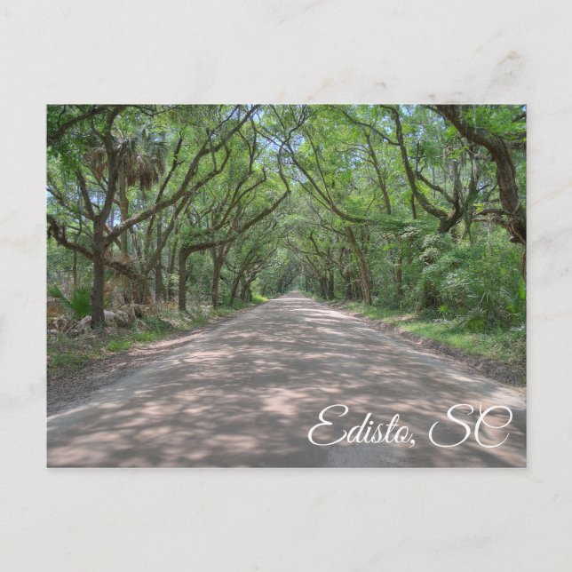 Edisto Postcard (Front)