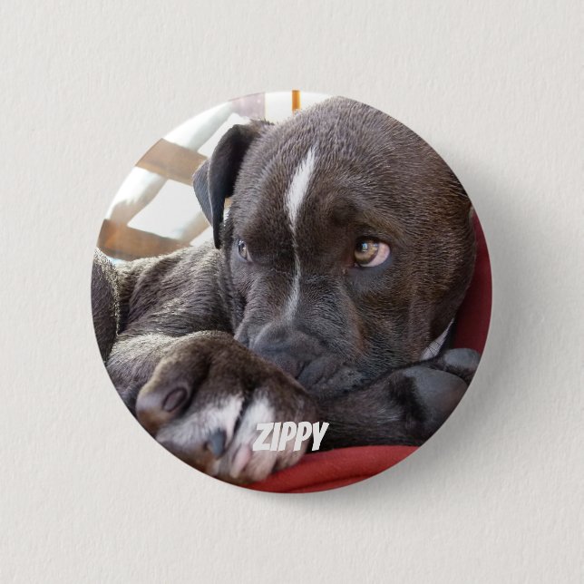 Editable Baby Pitbull Puppies 6 Cm Round Badge (Front)