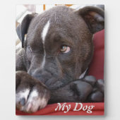 Editable Baby Pitbull Puppies Plaque (Front)
