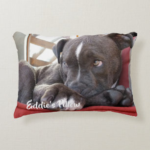 Editable Baby Pitbull Puppy Decorative Cushion