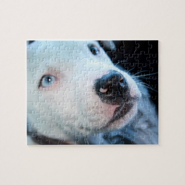 Editable Baby Pitbull White Puppy Jigsaw Puzzle (Horizontal)