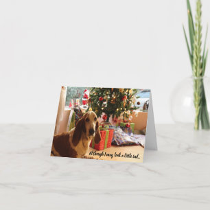 Editable Basset Hound Lover Dog Christmas Card