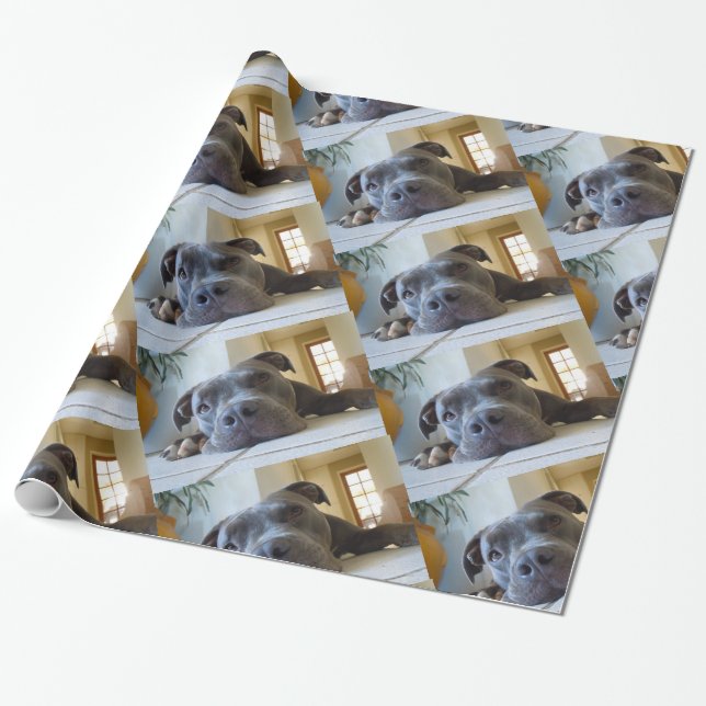Editable Brown Pitbull Dog Wrapping Paper (Unrolled)