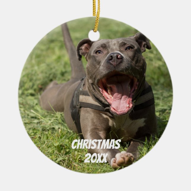 Editable Brown Pitbull In Grass Ceramic Ornament (Front)