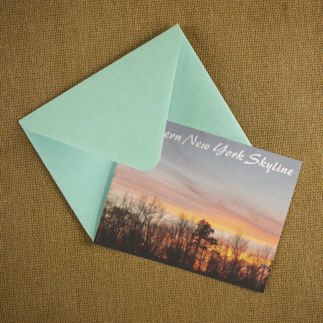 Editable Buffalo Images Postcard (Creator Uploaded)