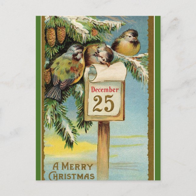   Editable Chickadees on Christmas December 25 Postcard (Front)