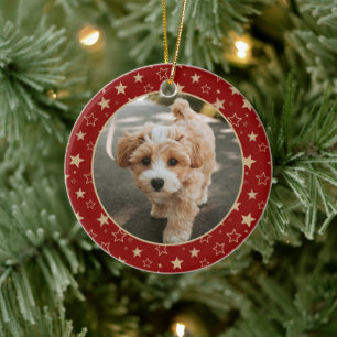Editable Christmas Pet Photo Decoration