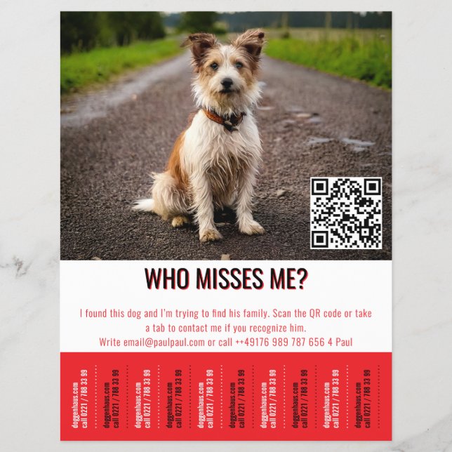 Editable Found Dog Poster With QR Code & Tear‑Off  Flyer (Front)