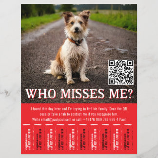 Editable Found Dog Poster With QR Code & Tear‑Off Flyer
