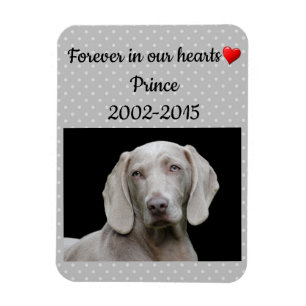 Editable Grey Forever In Our Hearts Pet Memorial Magnet