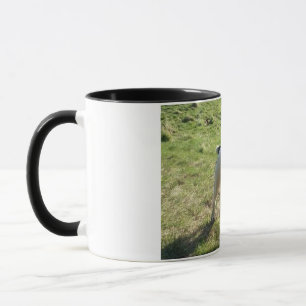 Editable mug with photo and text
